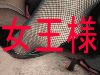 女王様動画サンプル研究室