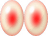 おっぱい情報広場『乳 乳 乳』