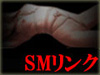SMリンク