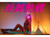 Immoral Butterfly 淫舞艶蝶